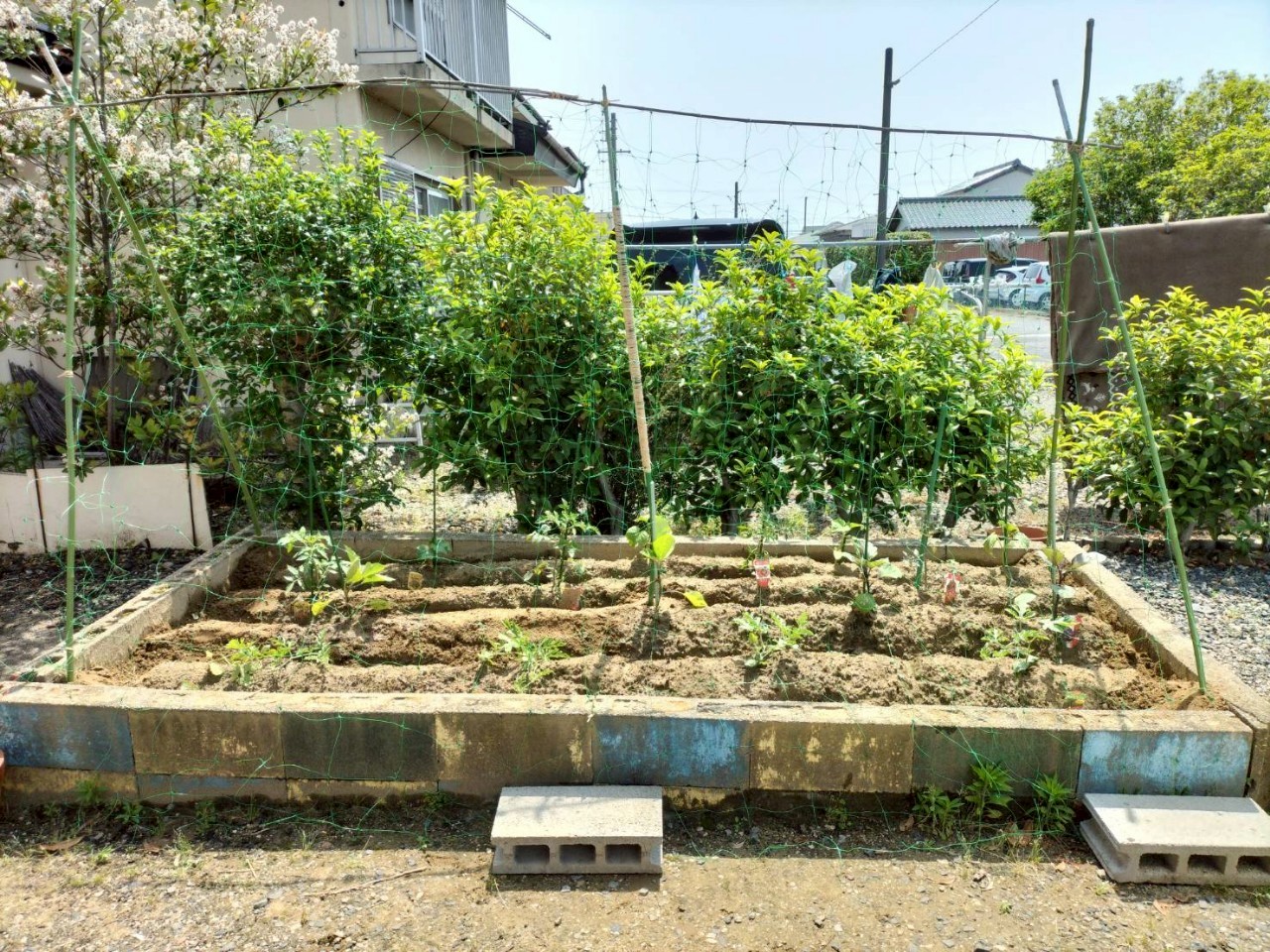 定期作業のご報告