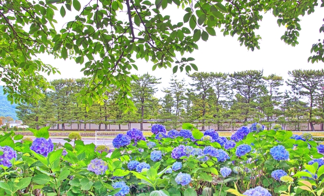 梅雨や夏のカビ・湿気対策もプロにお任せ！鈴鹿・四日市で愛される家事代行よろずやさんの夏支度サポート